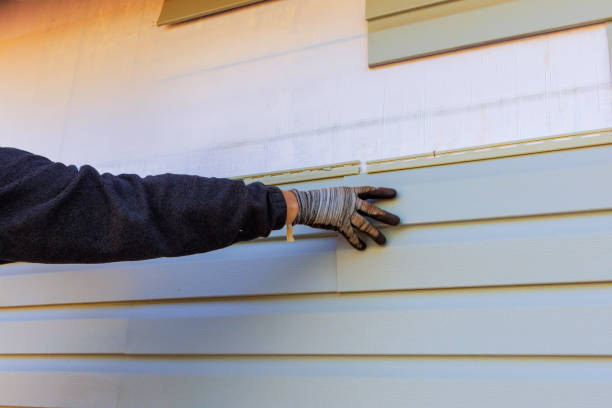 Best Steel Siding Installation  in Springville, IA